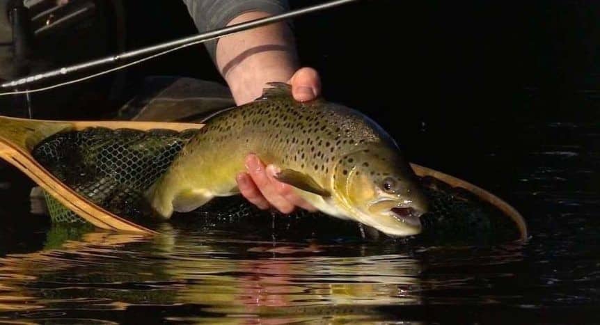 pêche à la traîne du saumon