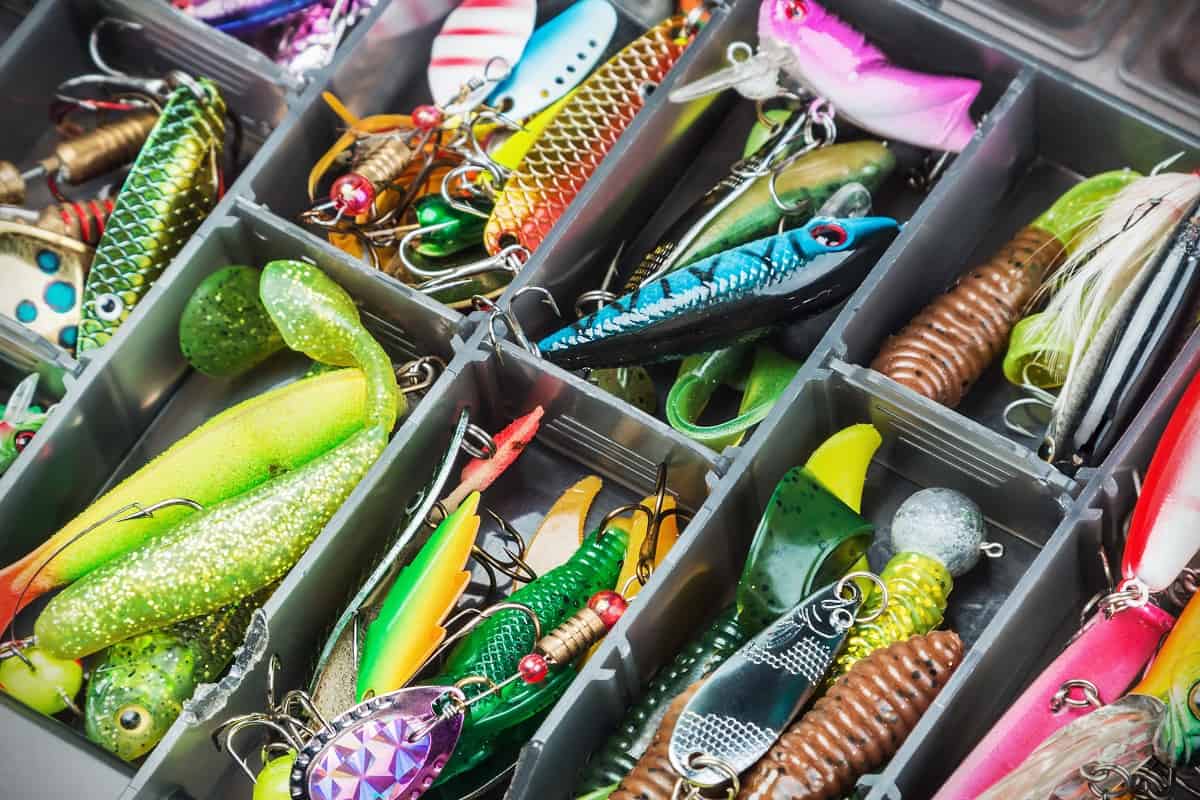 Quelles mouches pour utiliser la pêche au brochet