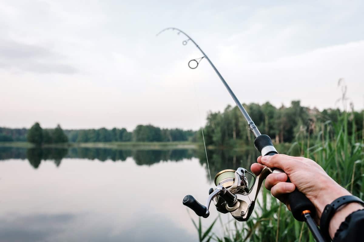 Comment pêcher le bar sous la pluie