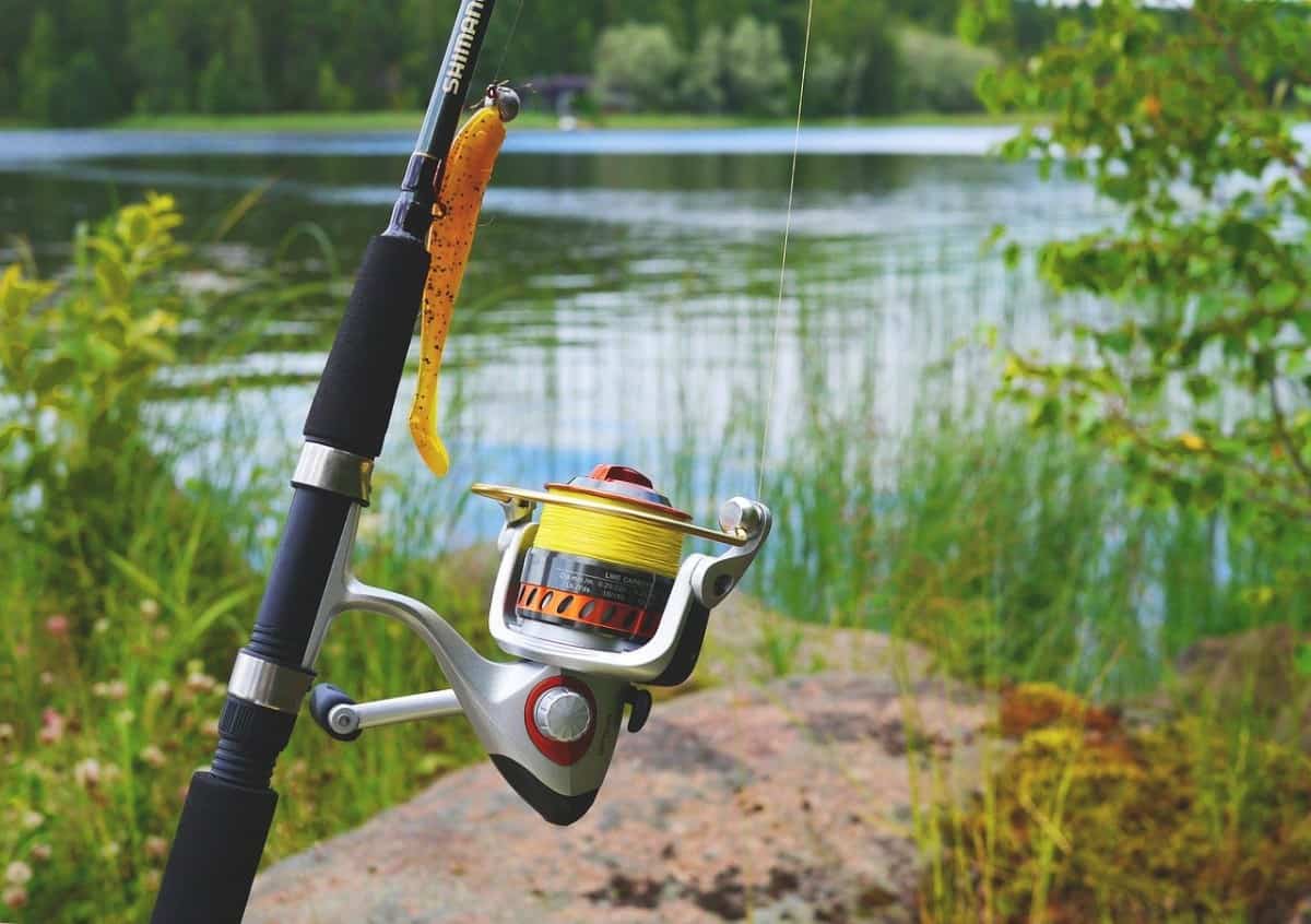 Pêche au lancer