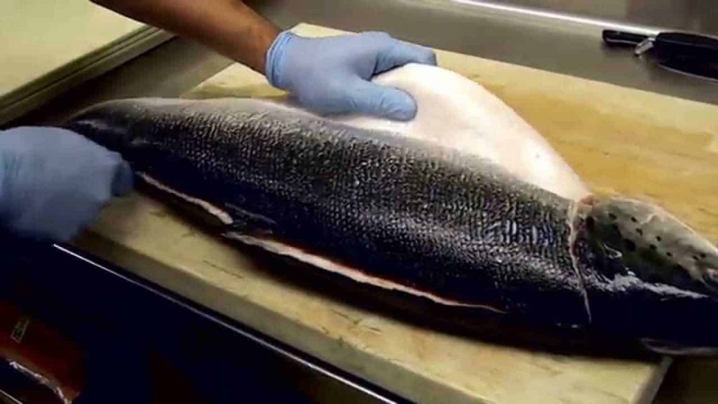 Comment attraper et cuisiner du poisson-frites – Fisher and Hunter