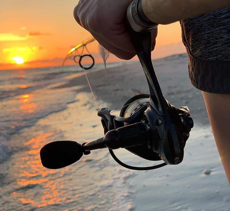 Comment attraper le mulet et la coccinelle est-elle bonne à manger ?  – Pêcheur et chasseur