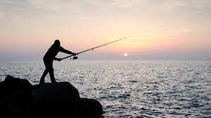 Conseils cruciaux sur le meilleur moulinet de pêche au poisson-chat – Fisher and Hunter