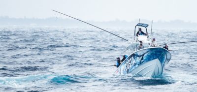Les meilleures batteries de moteur de pêche à la traîne à décharge profonde – Fisher and Hunter