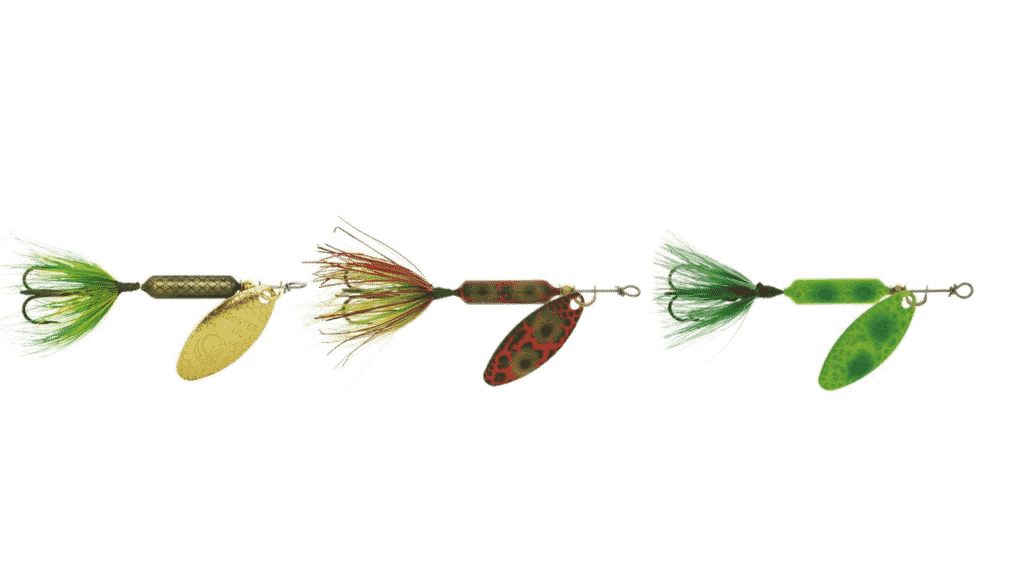 Meilleur équipement de pêche Catch n Cook – Pêcheur et chasseur