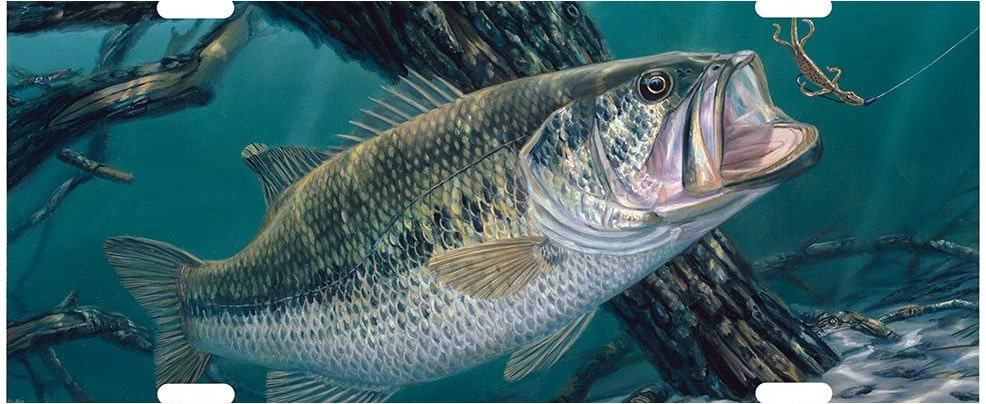 Permis de pêche et saison – Pêcheur et chasseur