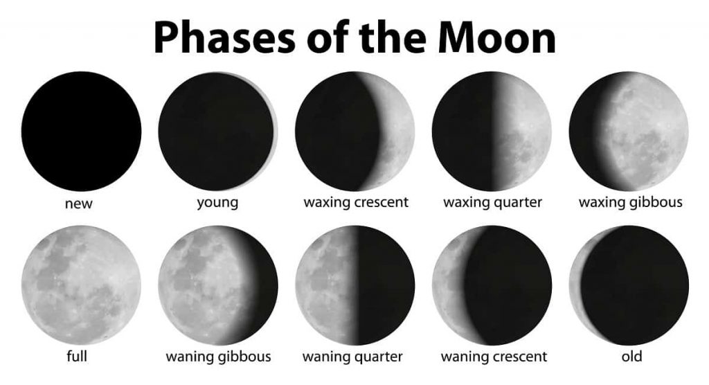Peut-on pêcher en pleine lune ?  – Pêcheur et chasseur