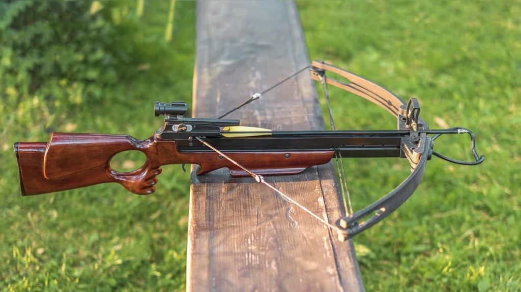 Quel est le meilleur pour la survie ?  – Pêcheur et chasseur