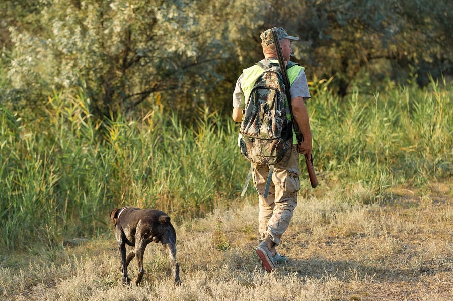Quel jeu pouvez-vous chasser avec un fusil de chasse ?  – Pêcheur et chasseur