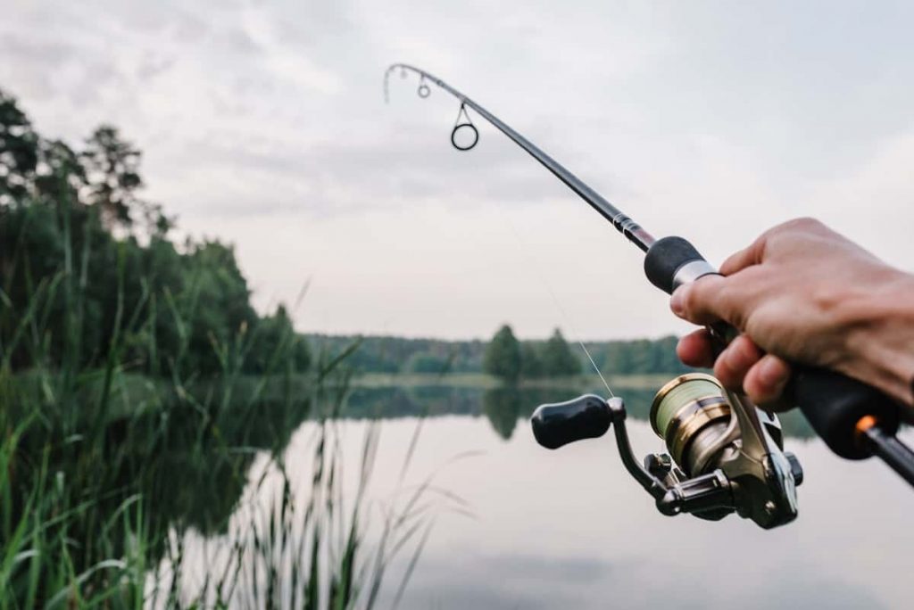 Qu’est-ce que la pêche au drop shot, comment le faire et de quel équipement avez-vous besoin.  – Pêcheur et chasseur