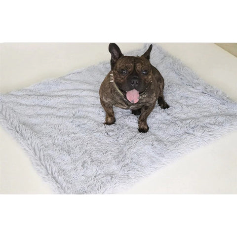 plaid pour chien pas cher