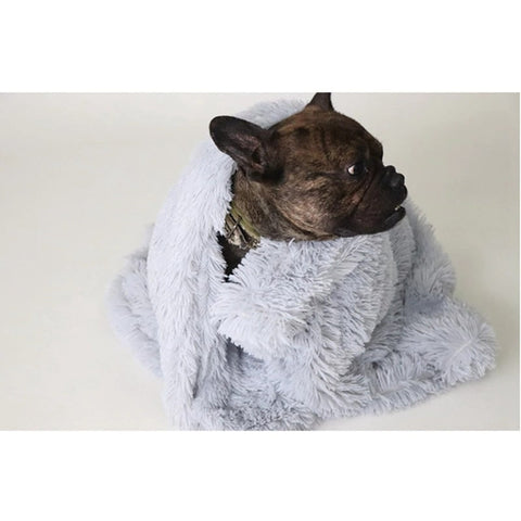 plaid pas cher pour chien