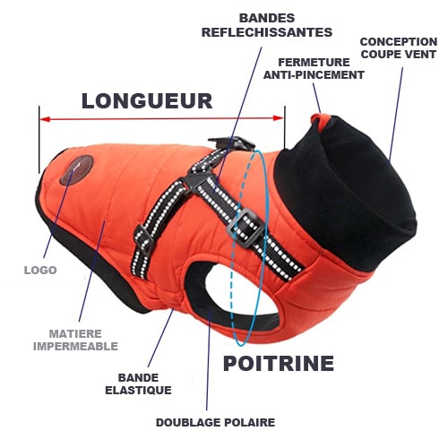 descriptif technique du manteau bouledogue