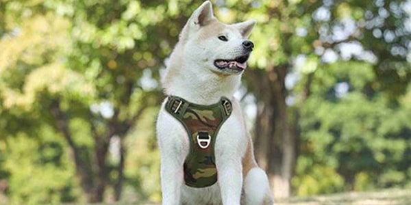 Harnais pour chien confortable avec rembourrage respirant