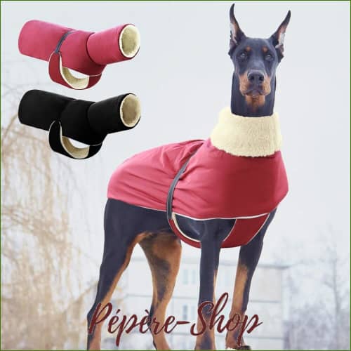 Cape polaire pour chien imperméable et chaude Cape polaire pour chien imperméable et chaude