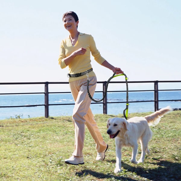 ensemble ceinture et laisse pour pratiquer le canicross