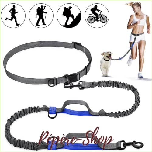 Ceinture laisse de canicross en nylon Ceinture laisse de canicross en nylon