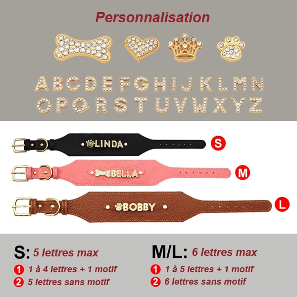 personnalisation du collier