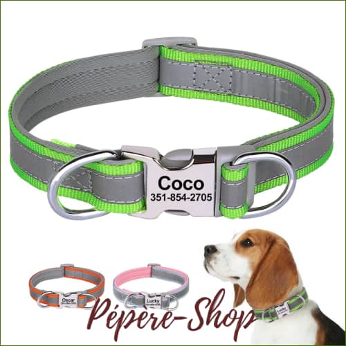 Collier avec prénom en nylon réfléchissant pour Jack Russell Collier avec prénom en nylon réfléchissant pour Jack Russell