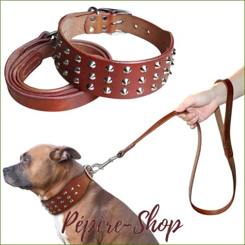 Collier cuir large et épais avec pointes décoratives en acier avec sa laisse assortie Collier cuir large et épais avec pointes décoratives en acier avec sa laisse assortie