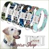 Collier d'identification pour chien original et coloré MIDOG