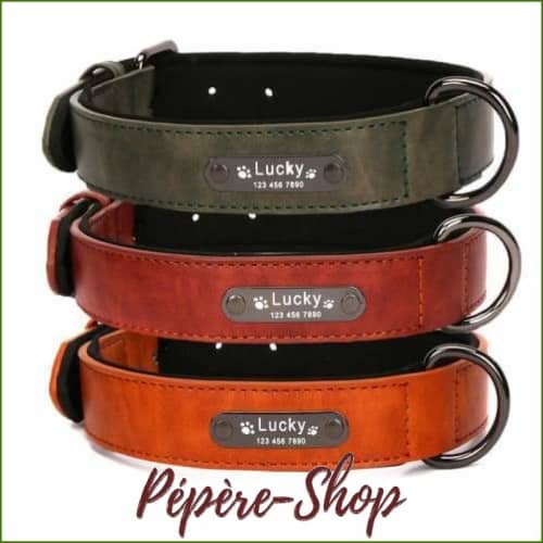 Collier personnalisé pour chien en cuir coloré avec prénom