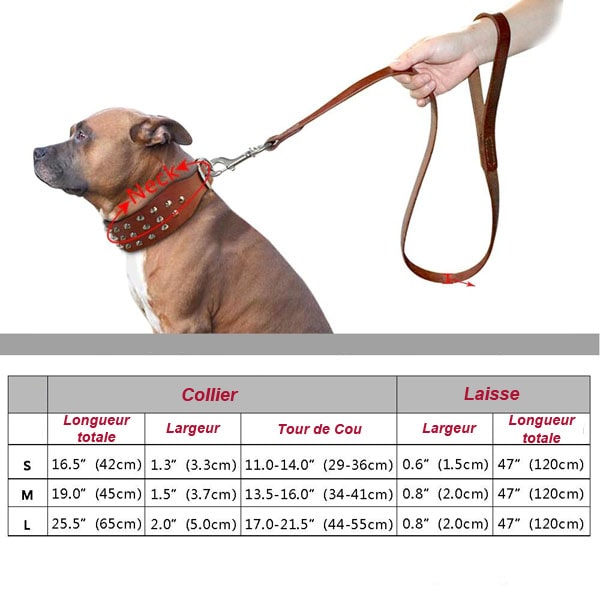 tableau des tailles du COLLIER