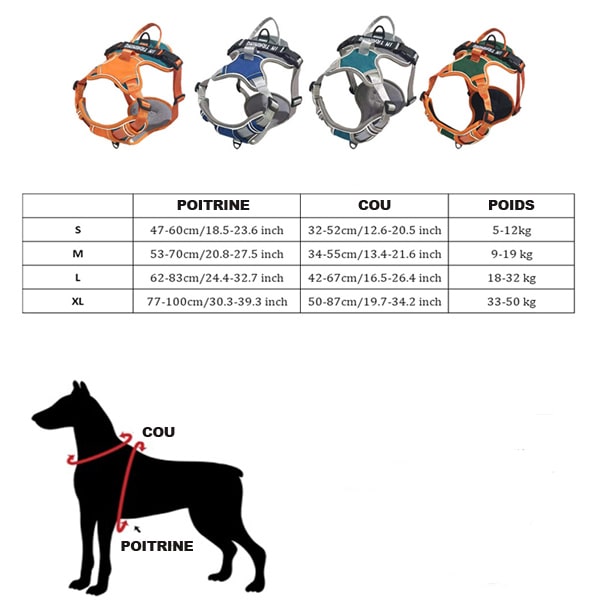 Tailles harnais confort pour chien