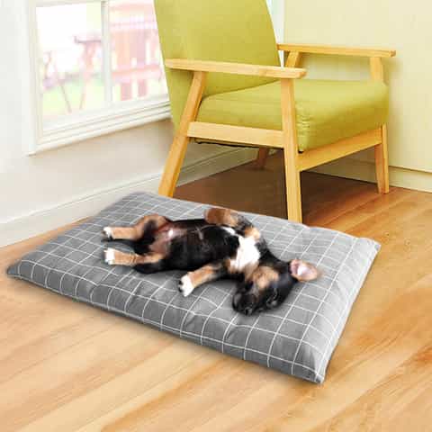 matelas pour chien pas cher et déhoussable