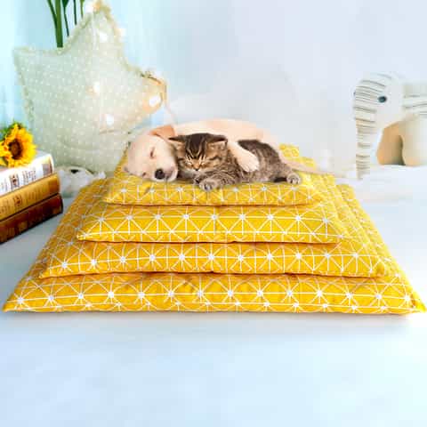lit pour chien pas cher
