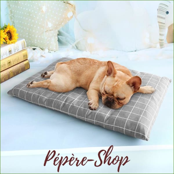 Coussin pour chien PiLo déhoussable , design , pas cher Coussin pour chien PiLo déhoussable , design , pas cher