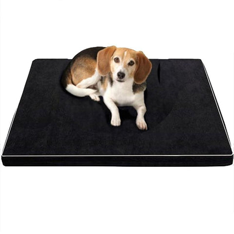 coussin mémoire de forme pour chien