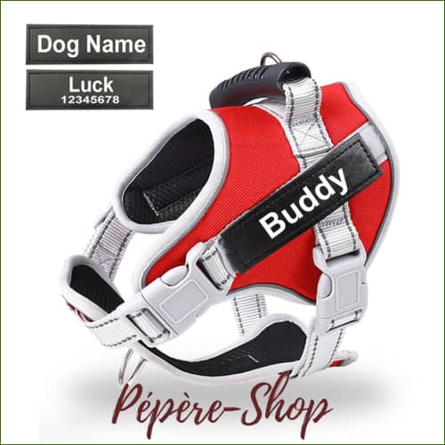 Harnais avec patch personnalisé et sa laisse assortie pour jack russell Harnais avec patch personnalisé et sa laisse assortie pour jack russell