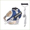 Harnais avec patch personnalisé et sa laisse assortie pour jack russell – Image 3