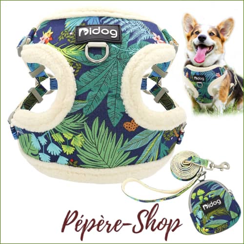 Harnais chaud et confort pour chiot jack russel – laisse incluse Harnais chaud et confort pour chiot jack russel – laisse incluse