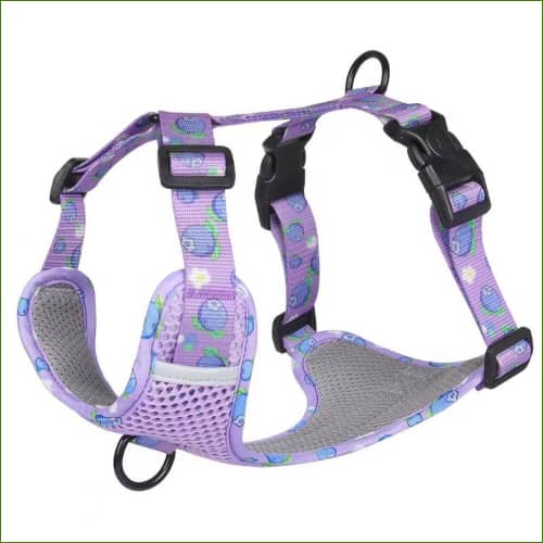 Harnais en nylon pour chien PET ARTIST, avec sa laisse assortie, design et coloré – Image 4