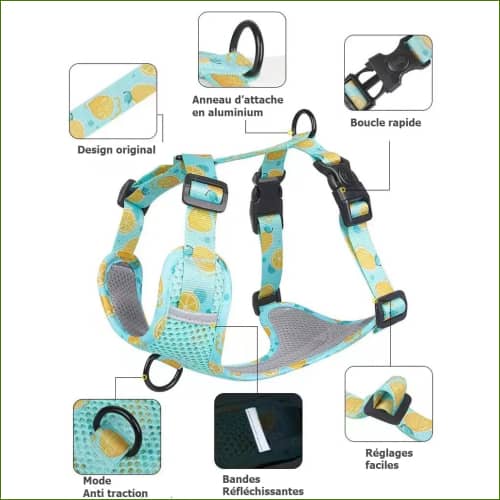 Harnais en nylon pour chien PET ARTIST, avec sa laisse assortie, design et coloré – Image 13