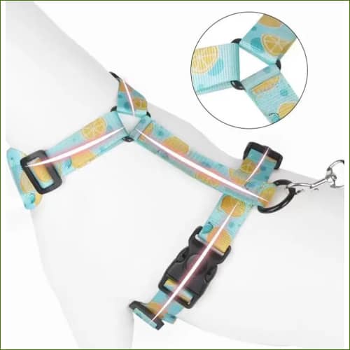 Harnais en nylon pour chien PET ARTIST, avec sa laisse assortie, design et coloré – Image 12