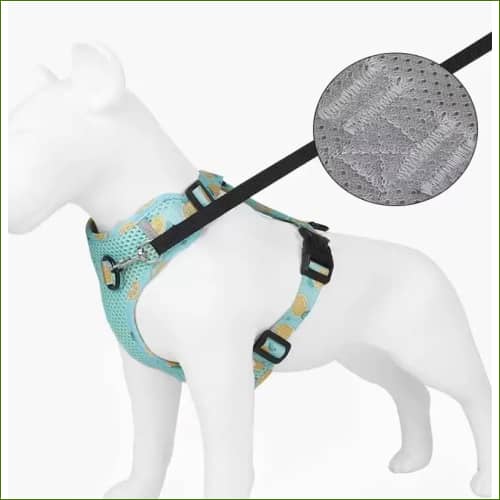Harnais en nylon pour chien PET ARTIST, avec sa laisse assortie, design et coloré – Image 11