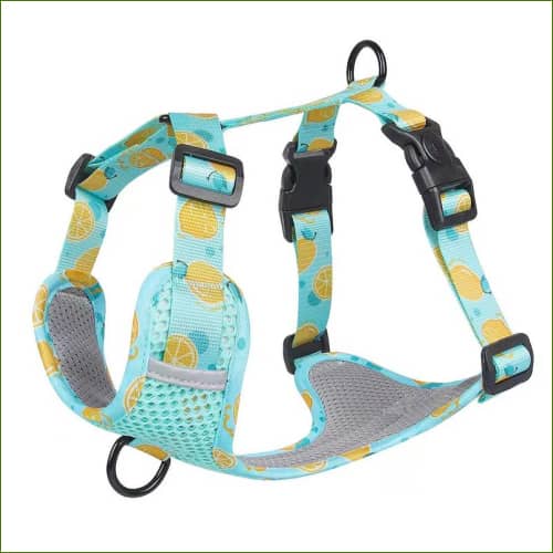 Harnais en nylon pour chien PET ARTIST, avec sa laisse assortie, design et coloré – Image 5