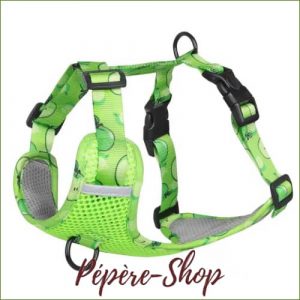 Harnais en nylon pour chien PET ARTIST, avec sa laisse assortie, design et coloré