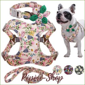 Harnais petit chien en nylon coloré avec collier et laisse assortis