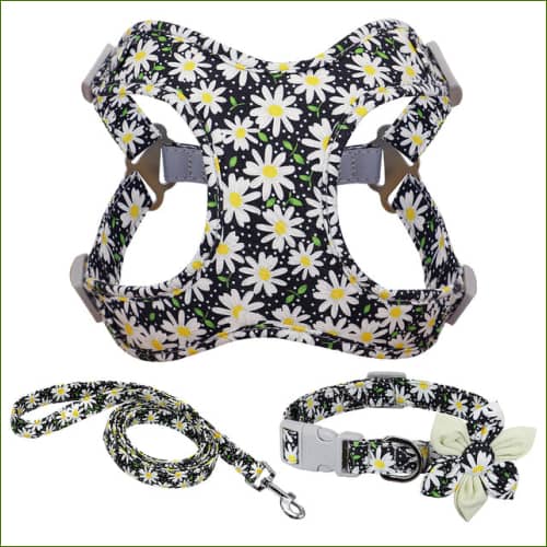 Harnais petit chien en nylon coloré avec collier et laisse assortis – Image 2