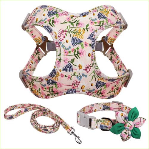 Harnais petit chien en nylon coloré avec collier et laisse assortis – Image 4