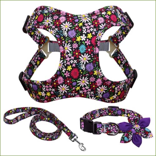 Harnais petit chien en nylon coloré avec collier et laisse assortis – Image 3