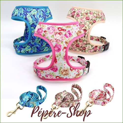 Harnais pour animaux de compagnie avec impression design et laisse assortie Harnais pour animaux de compagnie avec impression design et laisse assortie