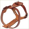 harnais cuir pour chien MIDOG ajustable et design – Image 3