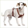 harnais cuir pour chien MIDOG ajustable et design – Image 4