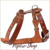 harnais cuir pour chien MIDOG ajustable et design