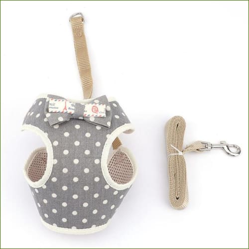 Harnais pour chiot - modèle design - avec laisse assortie – Image 5